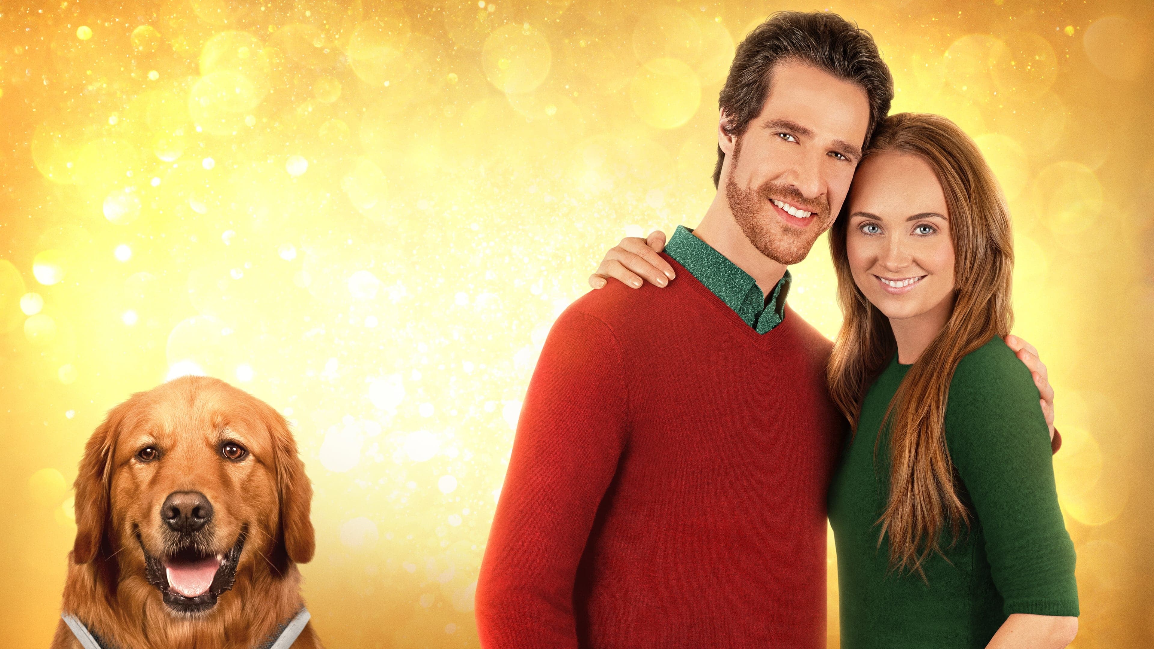 Max - Meine Weihnachtshilfe auf vier Pfoten