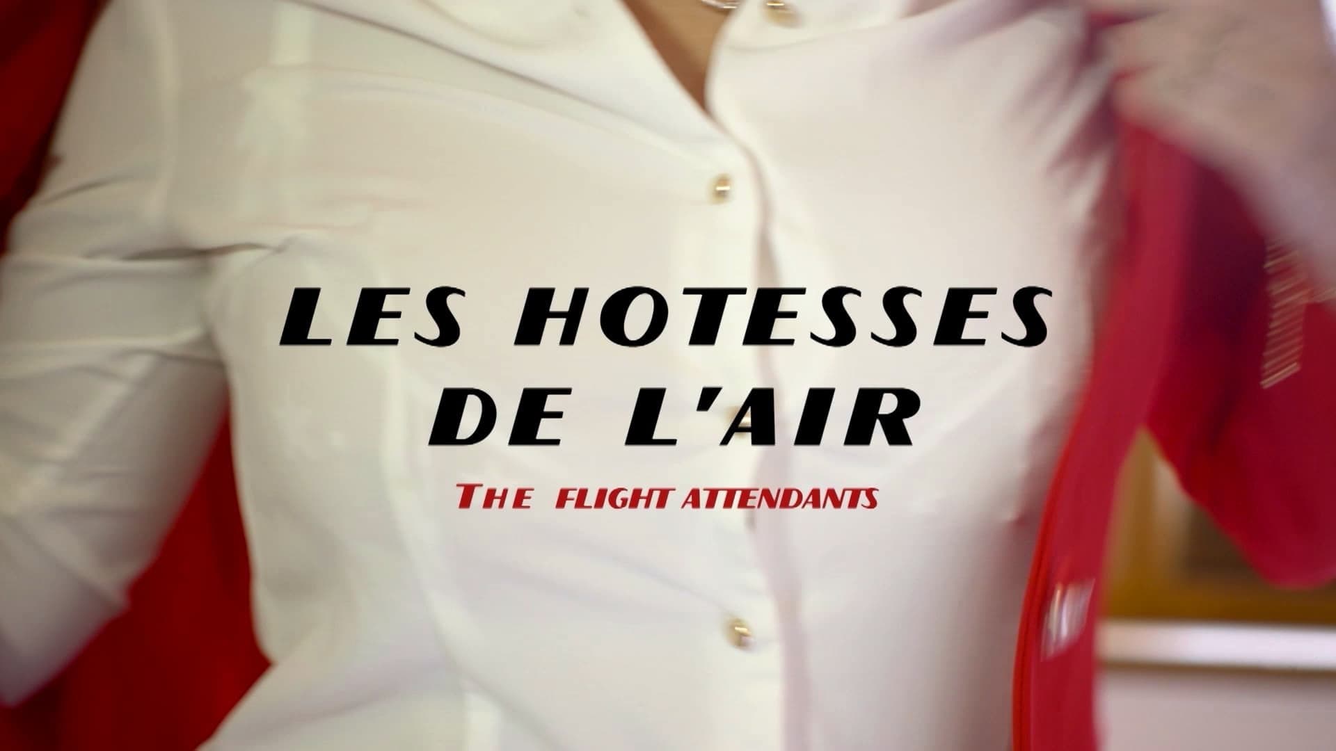 Dorcel Airlines: Die Stewardessen