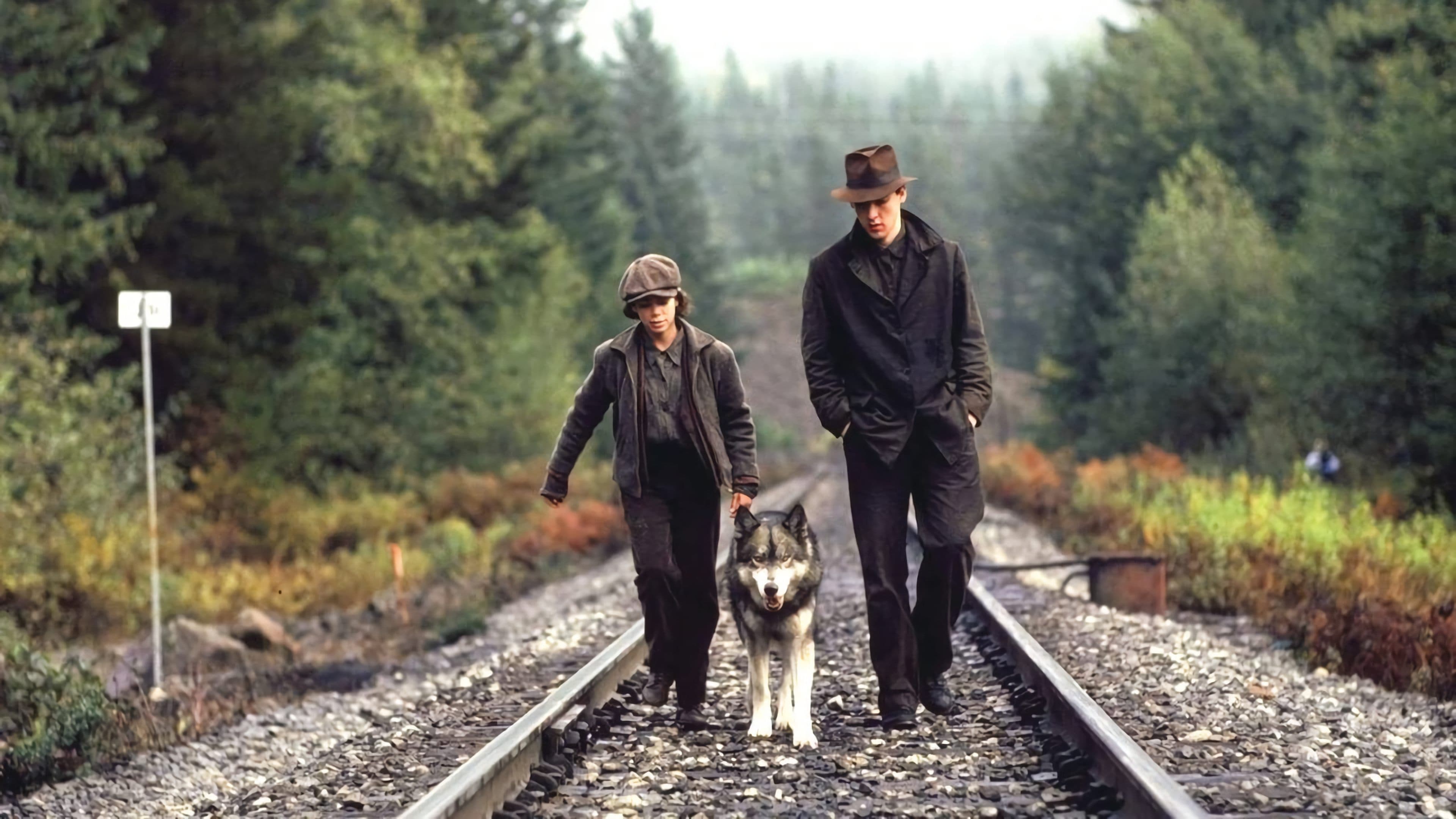 Die Abenteuer der Natty Gann