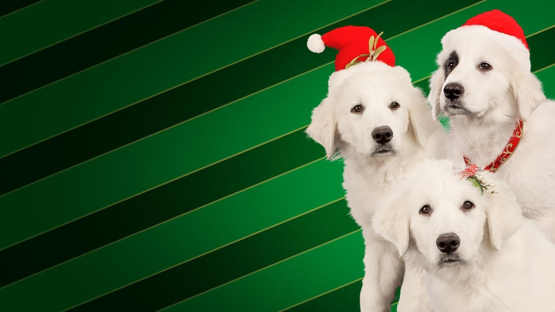 Santa Buddies - Auf der Suche nach Santa Pfote