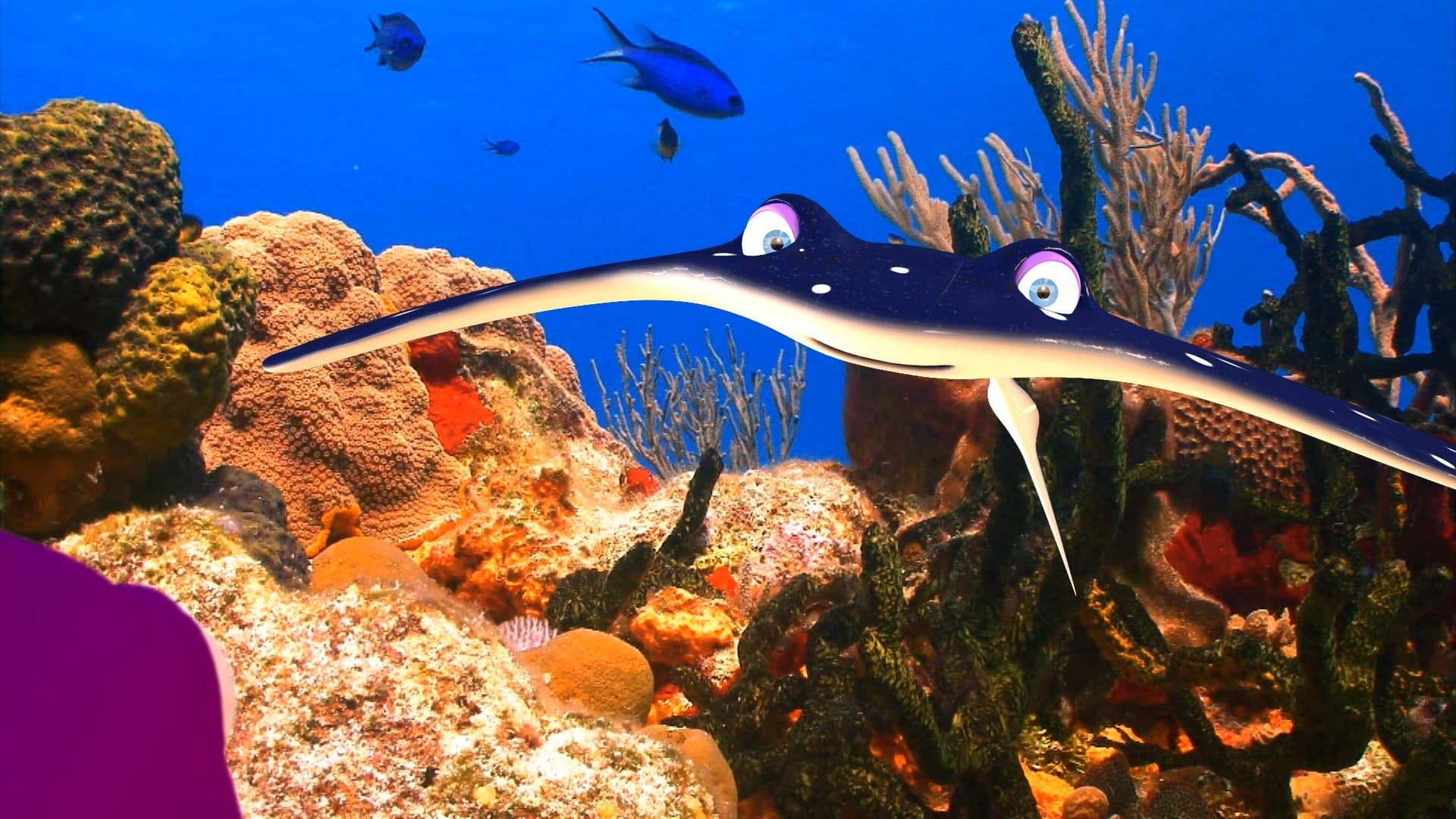 Fishtales - Fakten über Meerestiere