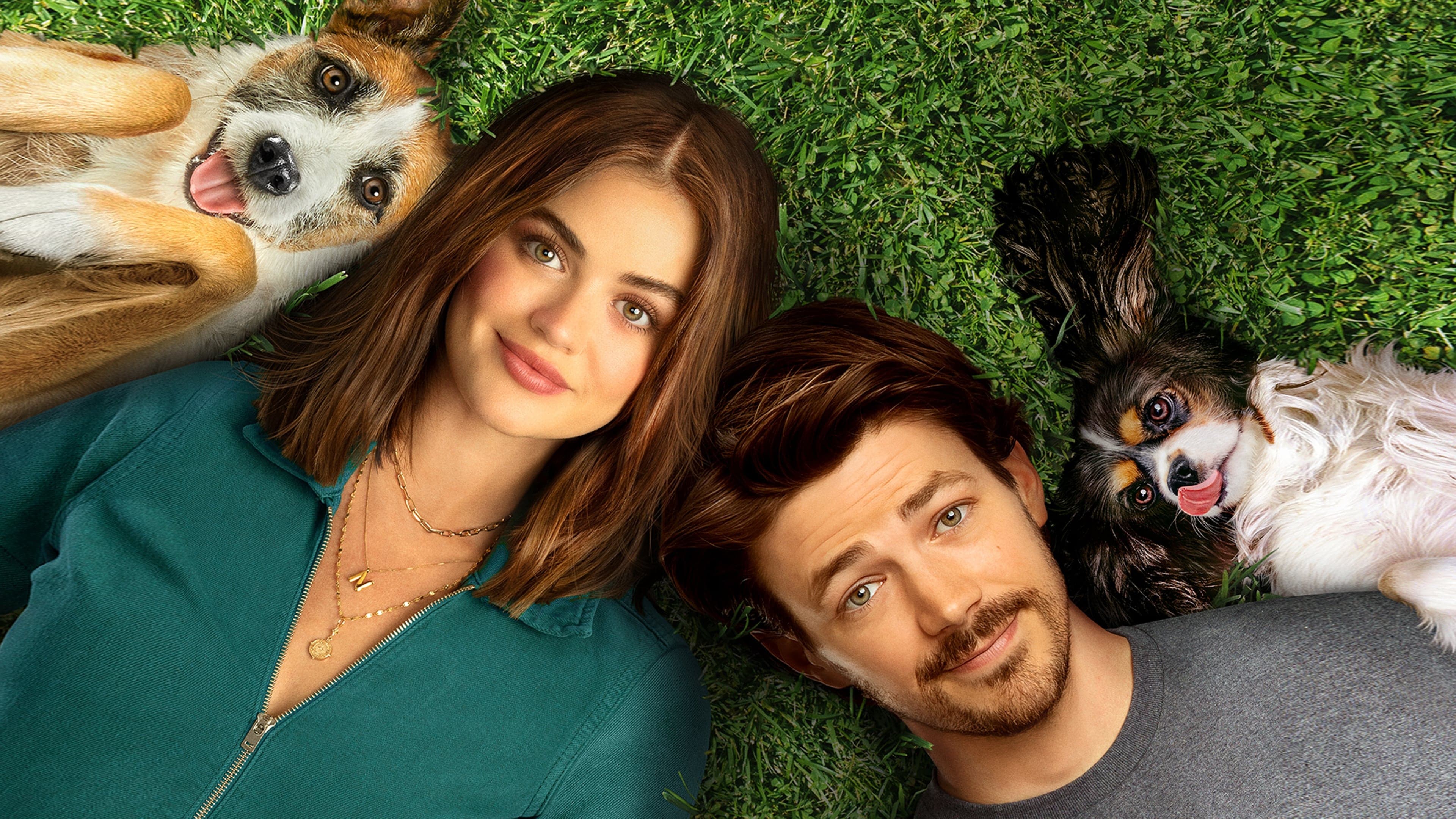 Puppy Love - Hunde zum Verlieben