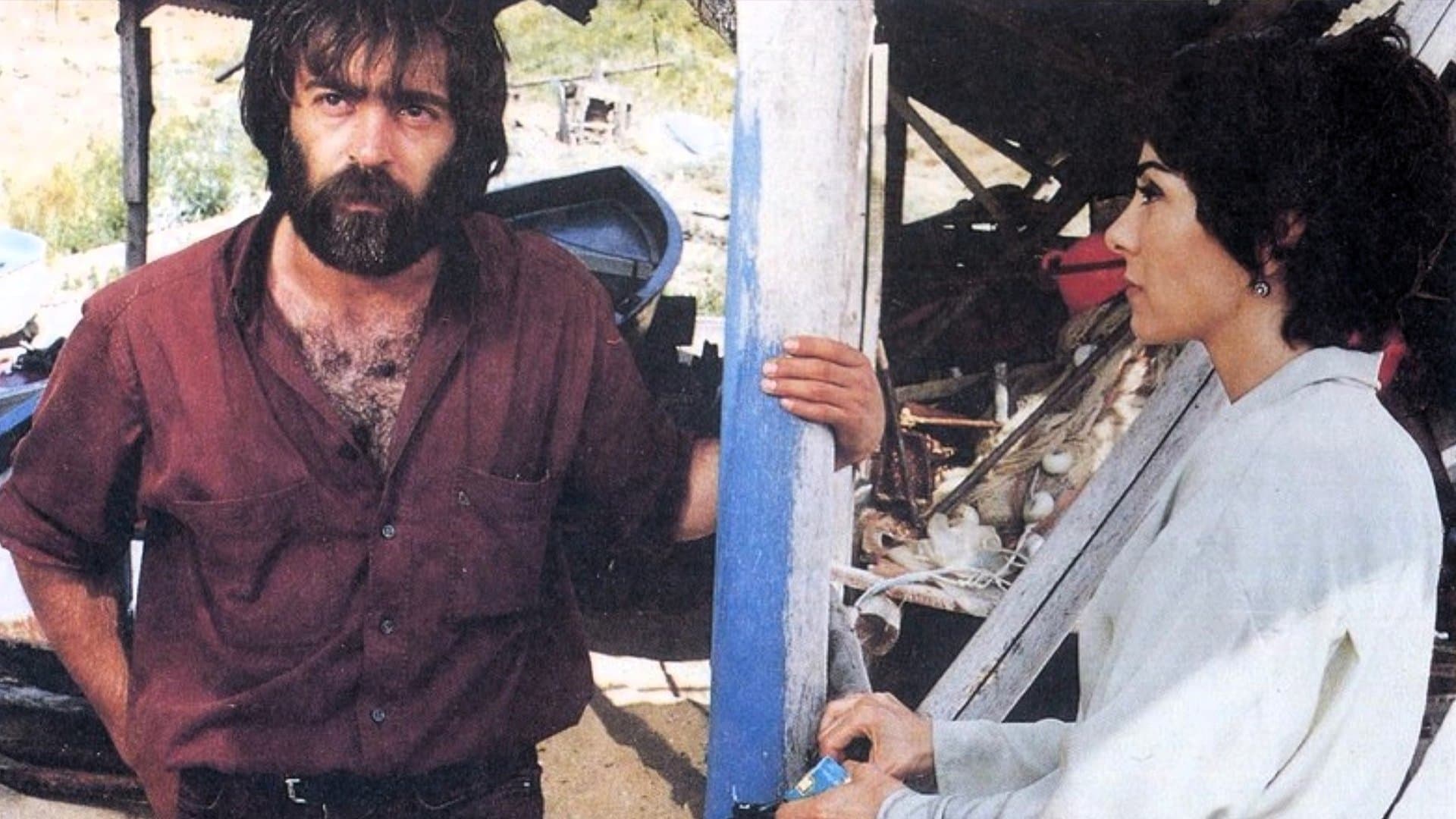 80. Adım