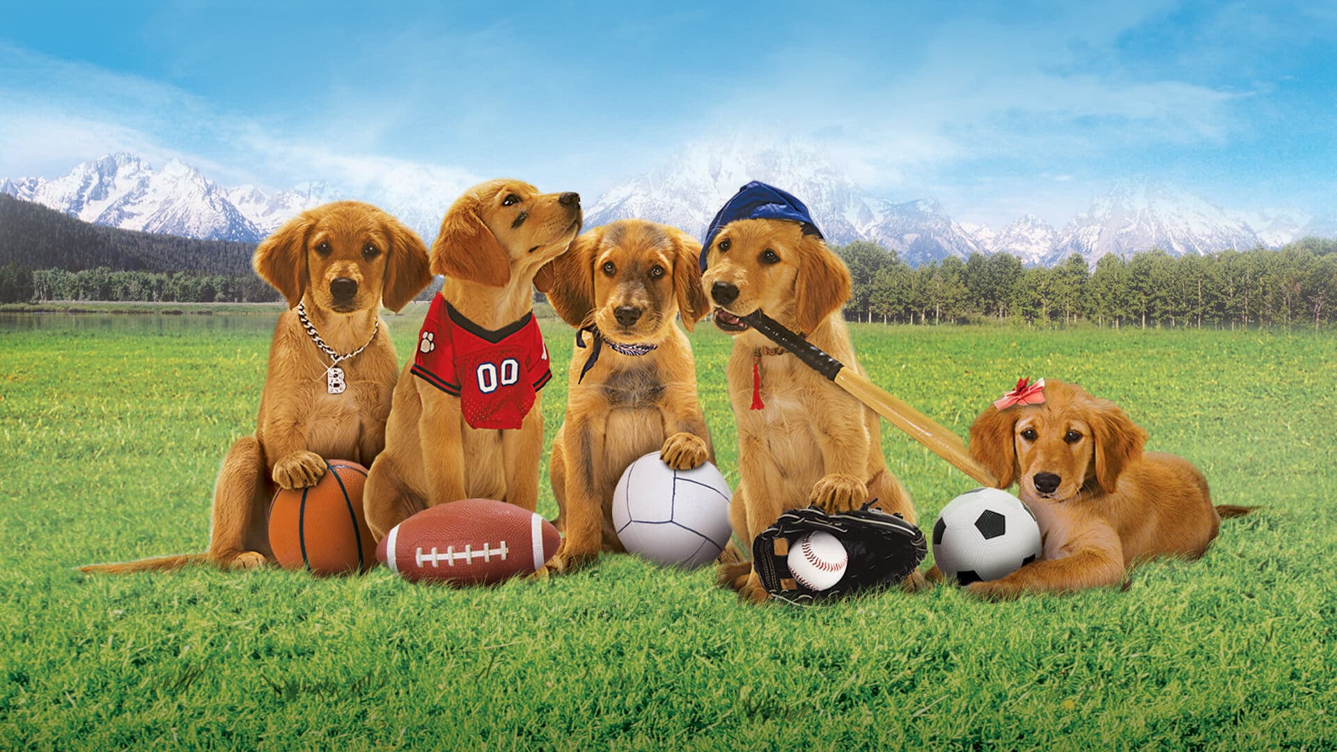 Air Buddies - Die Welpen sind los
