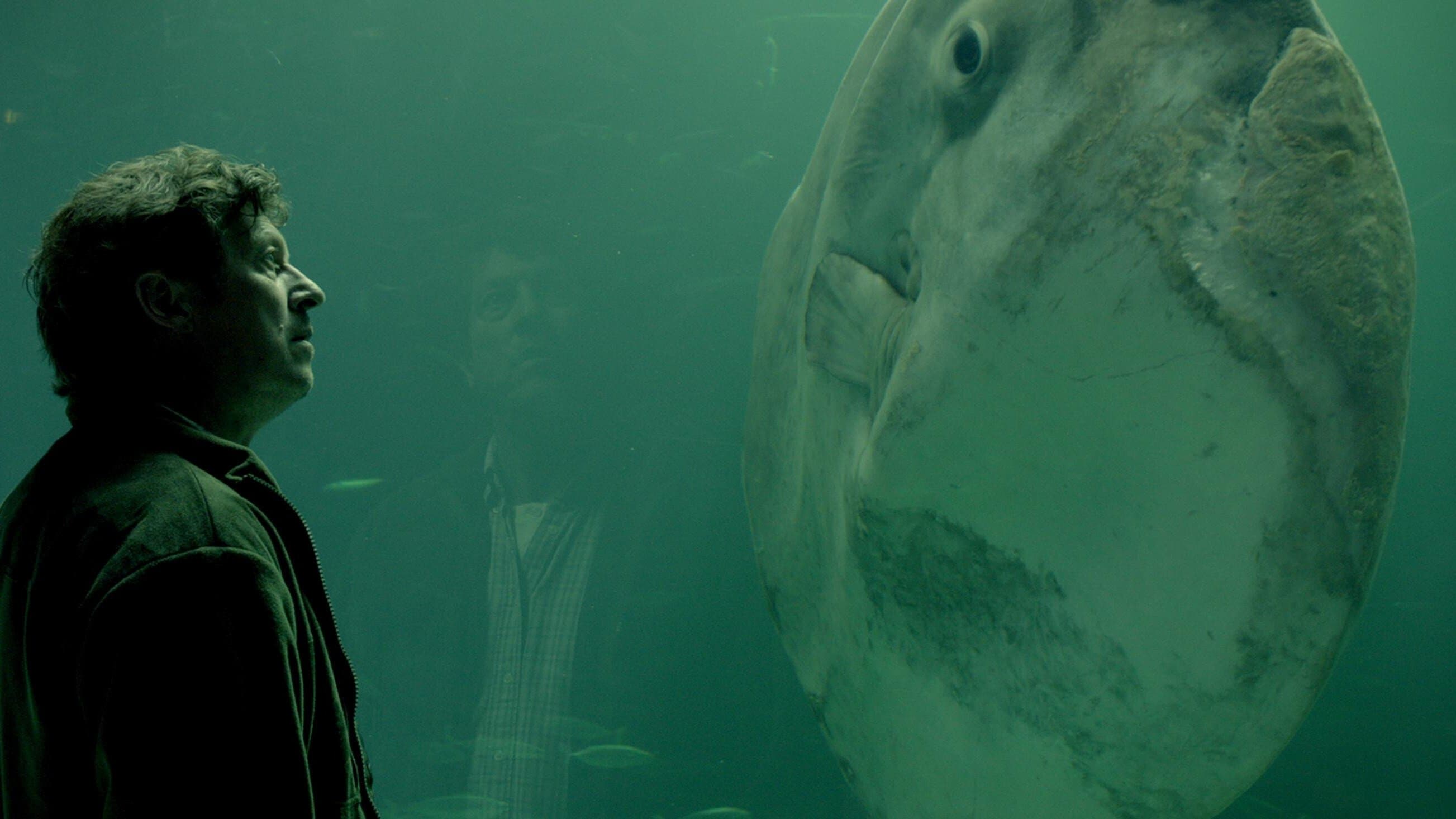 Der Mondfisch