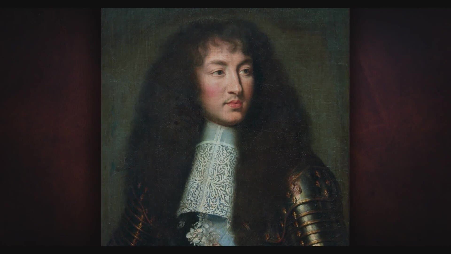 D'Artagnan, Musketier im Dienst des Sonnenkönigs