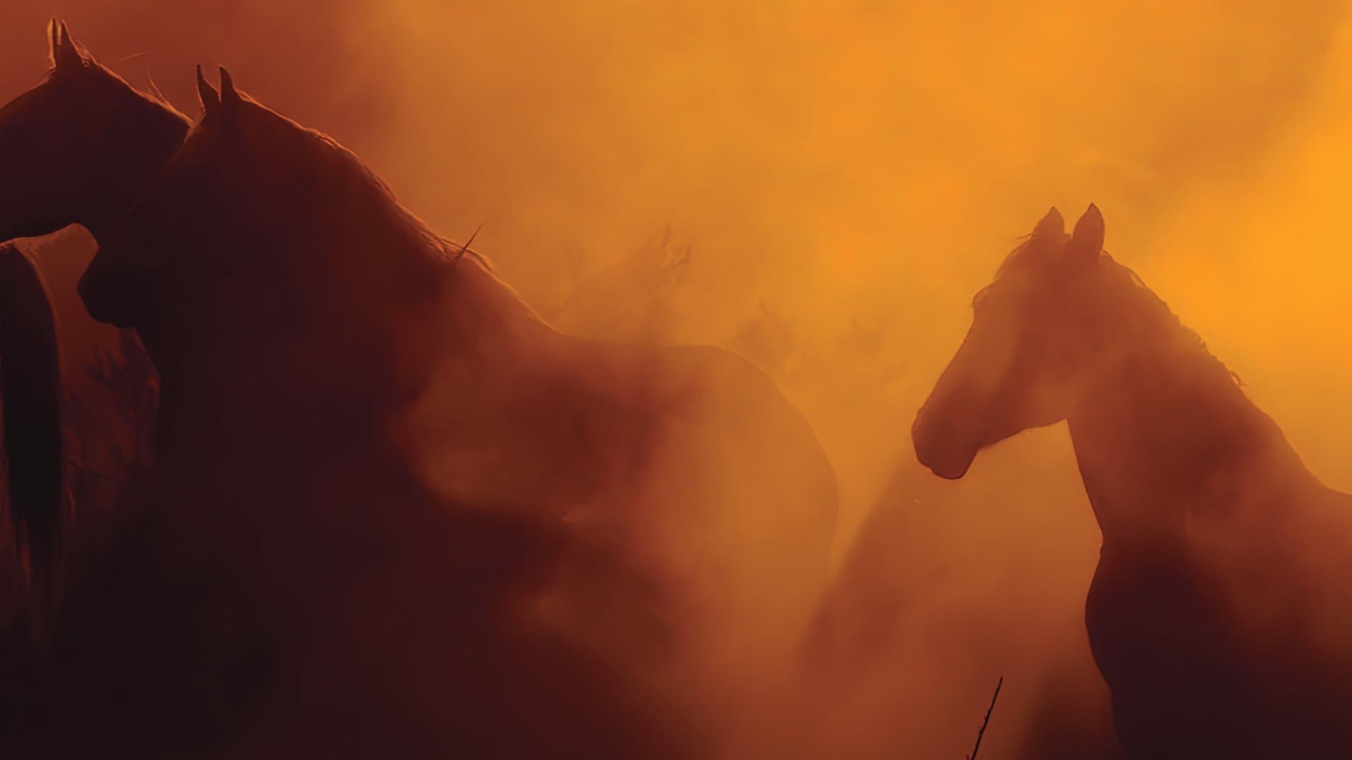 Free Spirit - Mustangs in Gefahr