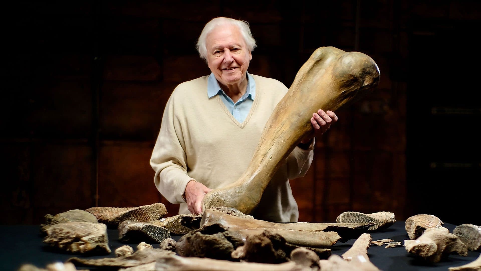 David Attenborough und der Mammut-Friedhof