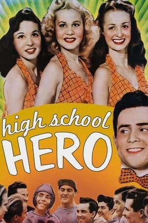 High School Hero