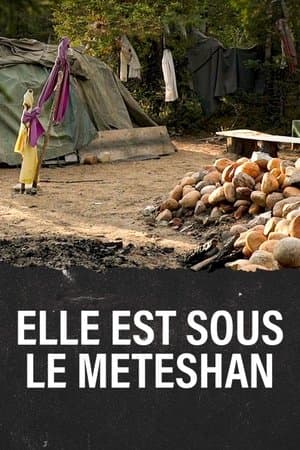 Meteshu innushkueu
