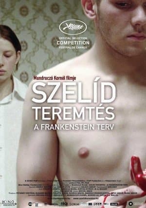 Tender Son – Das Frankenstein Projekt