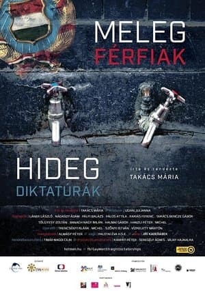 Meleg férfiak, hideg diktatúrák