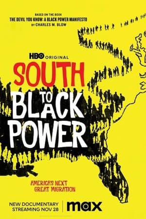 Zurück in die Südstaaten - Ein Black-Power-Manifest