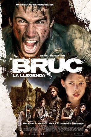 Bruc - Napoleons blutige Niederlage