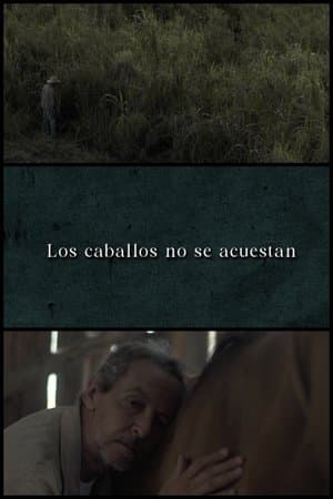 Los caballos no se acuestan