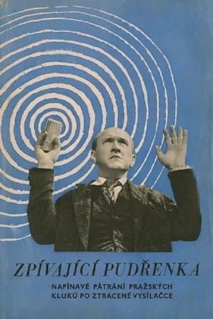 Das Geheimnis der Puderdose