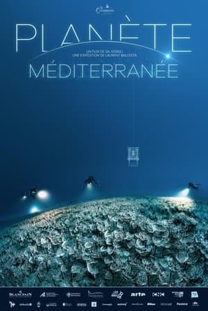 28 Tage unter dem Mittelmeer – Station Bathyale