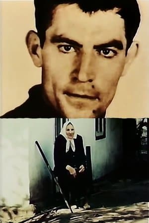 Верни до мене, пам'яте моя