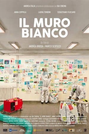 Il muro bianco