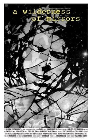 A Wilderness of Mirrors
