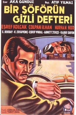 Bir Şoförün Gizli Defteri