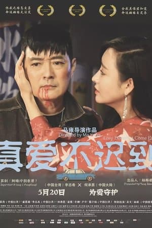 真爱不迟到