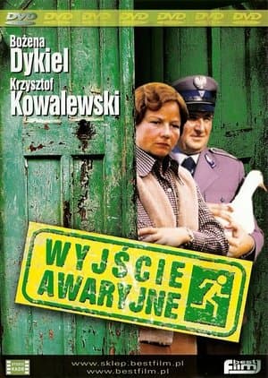 Die Notlösung