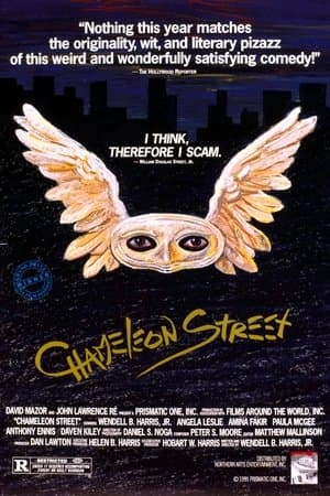 Douglas Street - Das Chamäleon