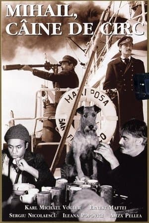 Killeny, der singende Hund