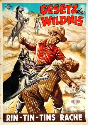Gesetz der Wildnis