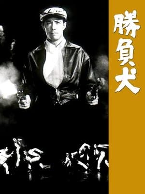 勝負犬