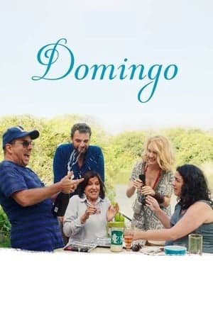 Domingo - Das Familientreffen