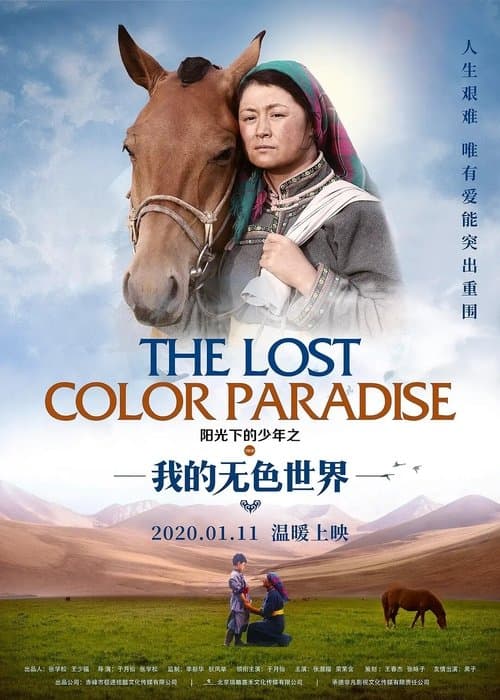阳光下的少年之我的无色世界 poster