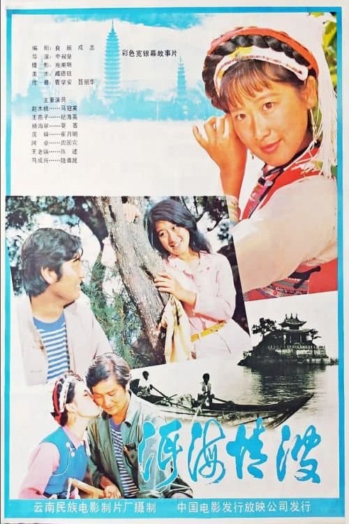 洱海情波 poster