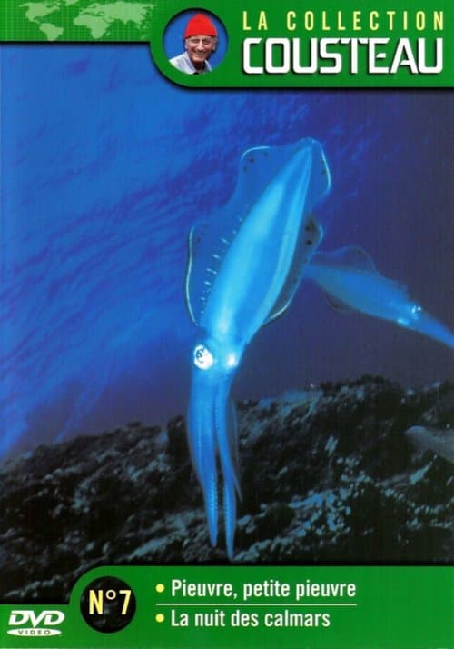La collection Cousteau N°7 | Pieuvre, petite pieuvre | La nuit des calmars poster
