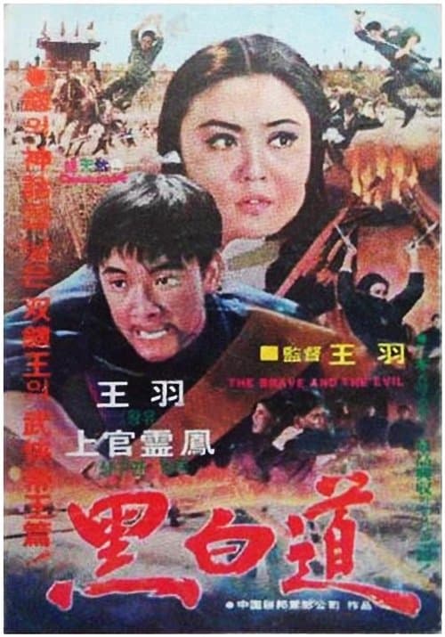 黑白道 poster
