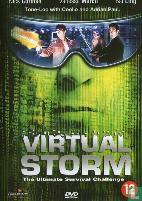 Virtual Storm poster