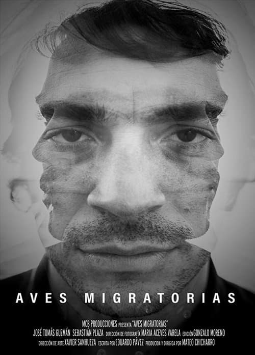 Aves migratorias poster