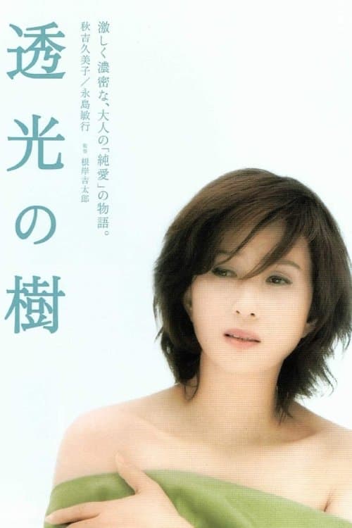 透光の樹 poster