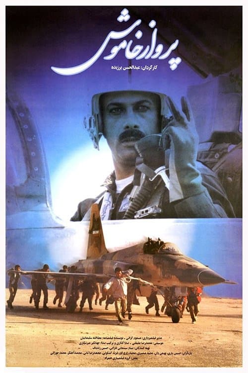 پرواز خاموش poster