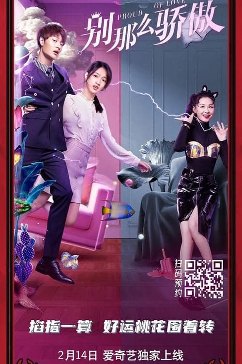 别那么骄傲 poster