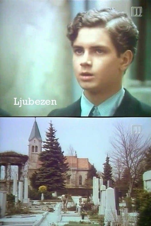 Ljubezen poster