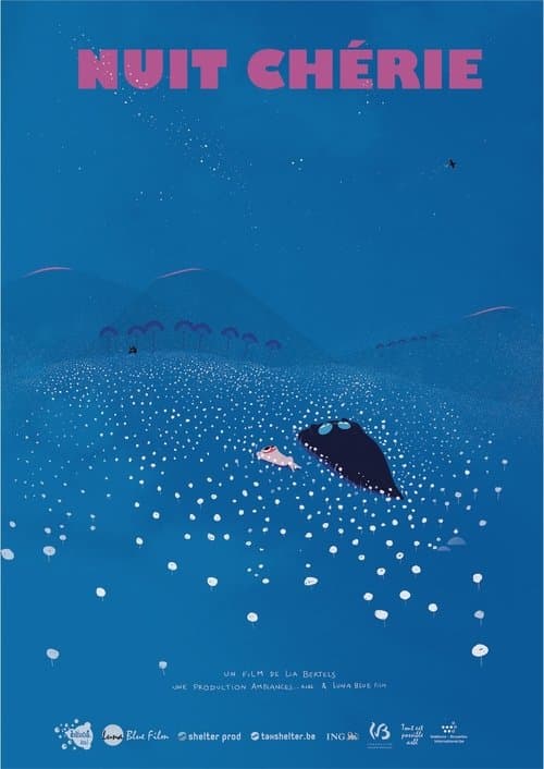 Nuit Chérie poster