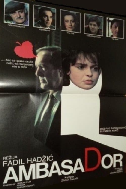 Ambasador poster