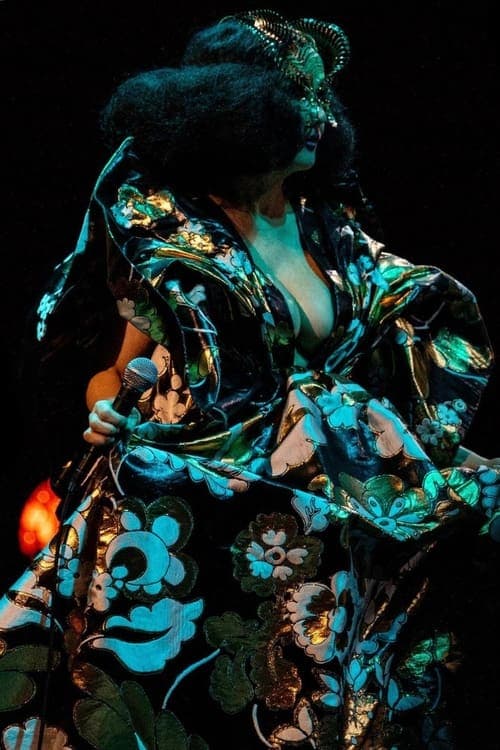 Björk Orkestral IV poster