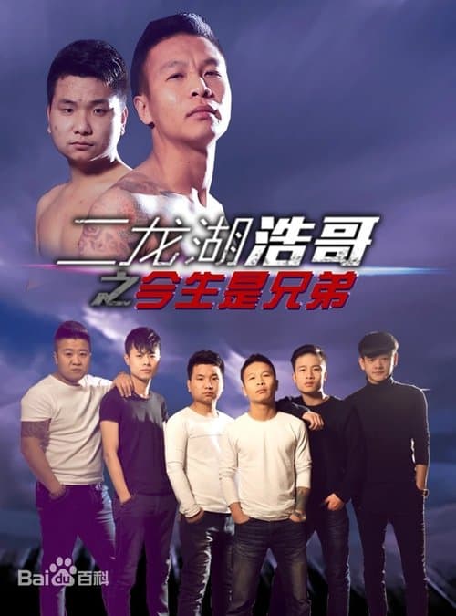 二龙湖浩哥之今生是兄弟 poster