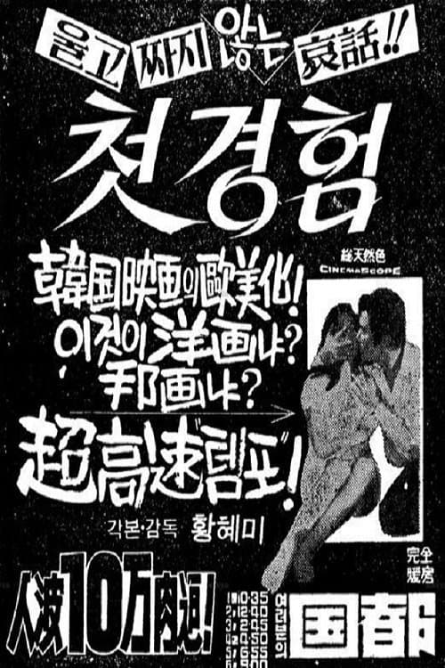 첫경험 poster