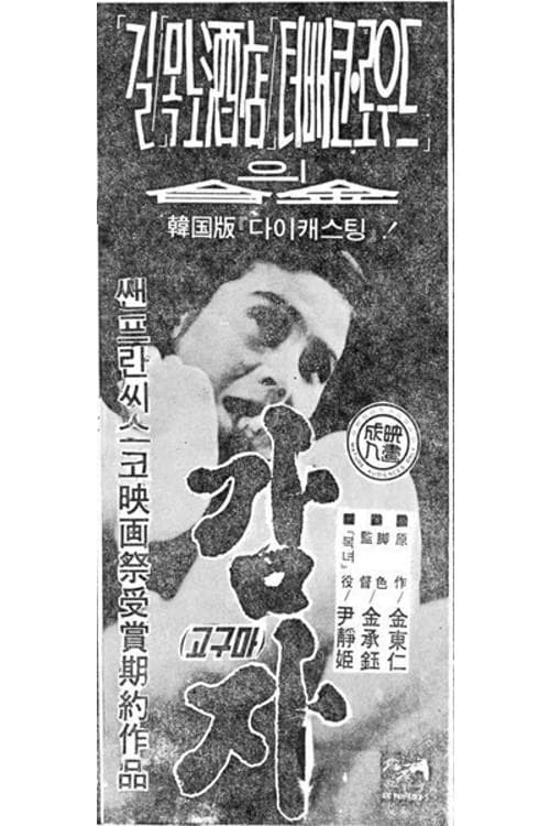 감자 poster