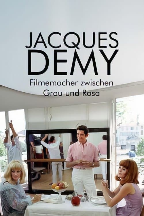 Jacques Demy, le rose et le noir poster