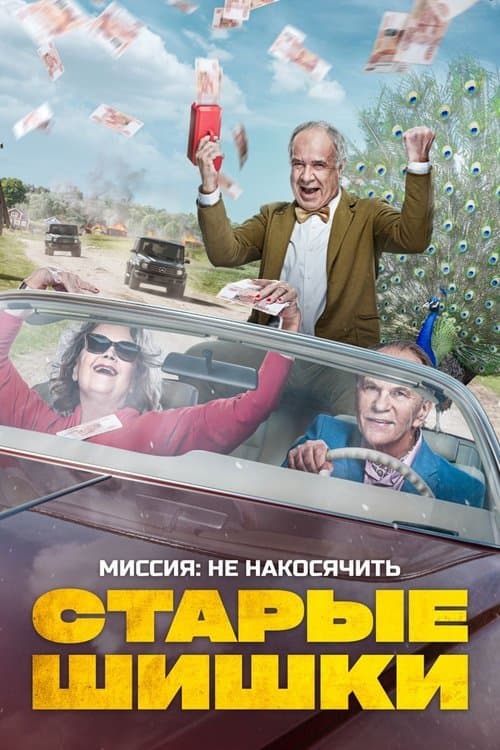 Старые шишки poster